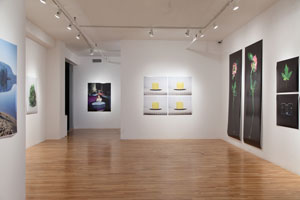 view of the show1